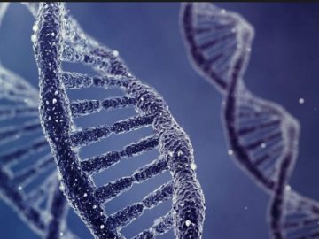 Bilim insanları DNA'ya veri yazdı