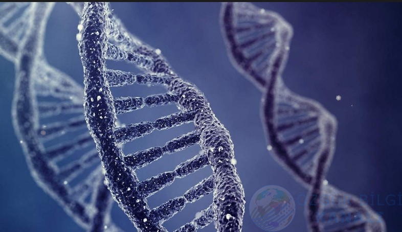 Bilim insanları DNA'ya veri yazdı